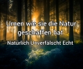 Bild 6 von Naturstoff Urne mit Holz -  sb01 - für alle Bestattungsarten